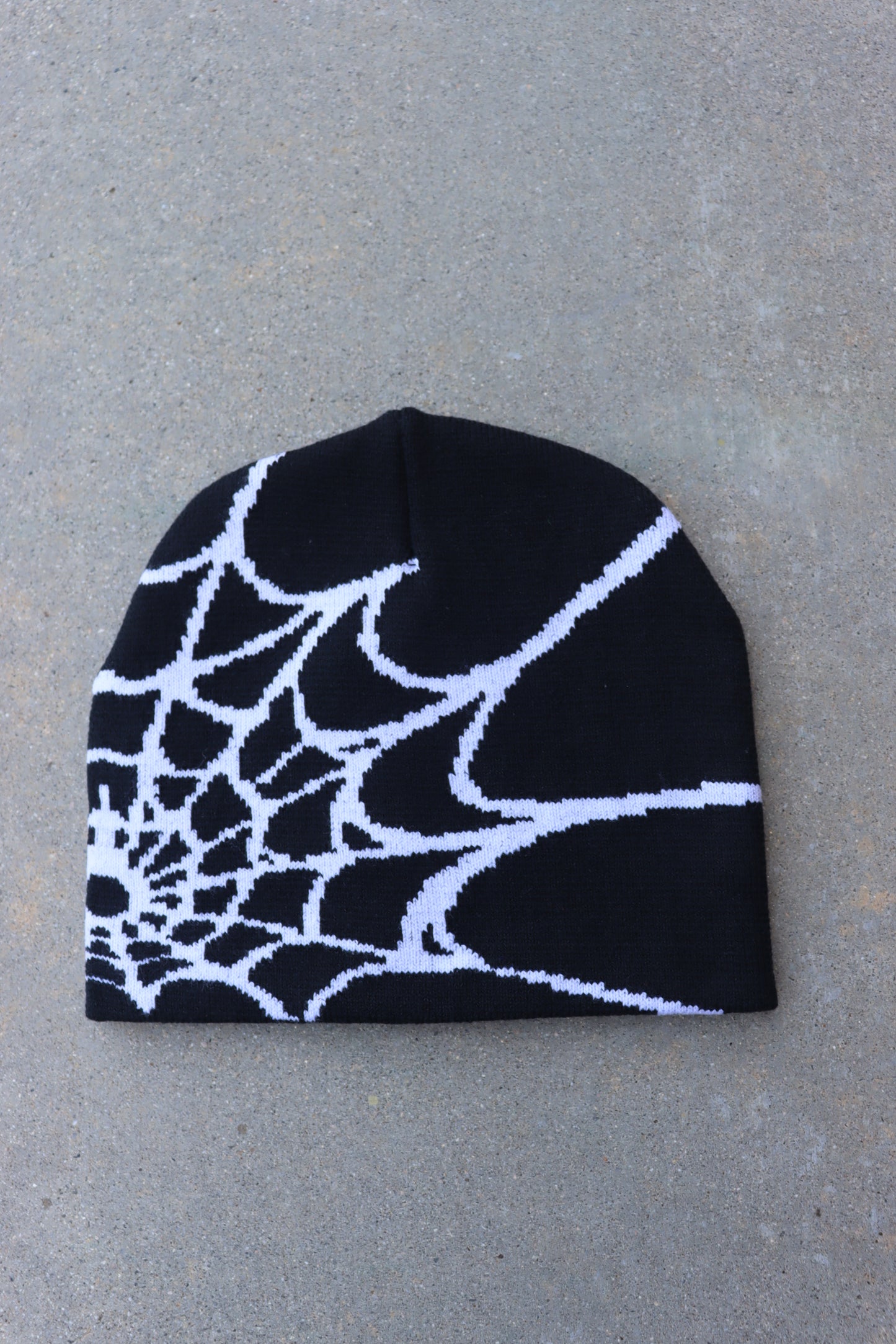 Black Spider Graphic Beanie